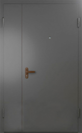 Фото двери «Техническая дверь №6 полуторная» в Дмитрову